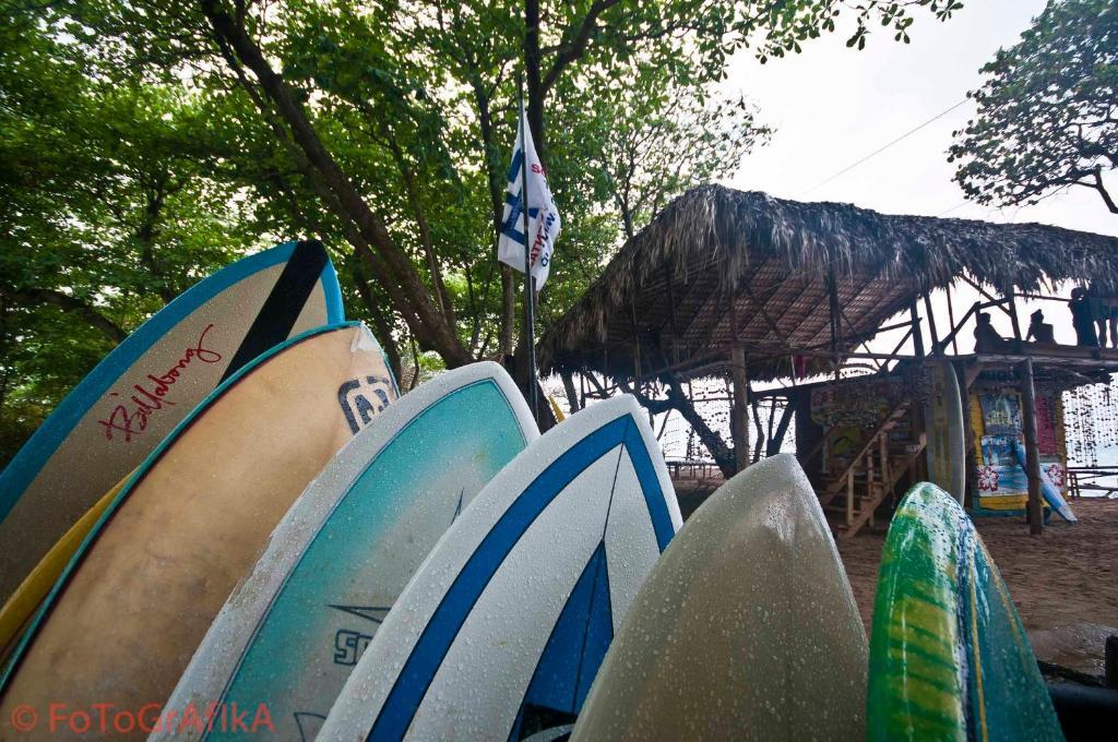 Cabarete Surf Camp Hotel Exterior photo