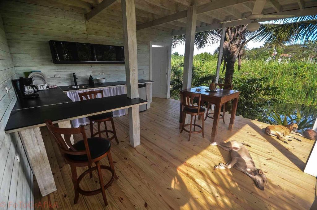 Cabarete Surf Camp Hotel Exterior photo