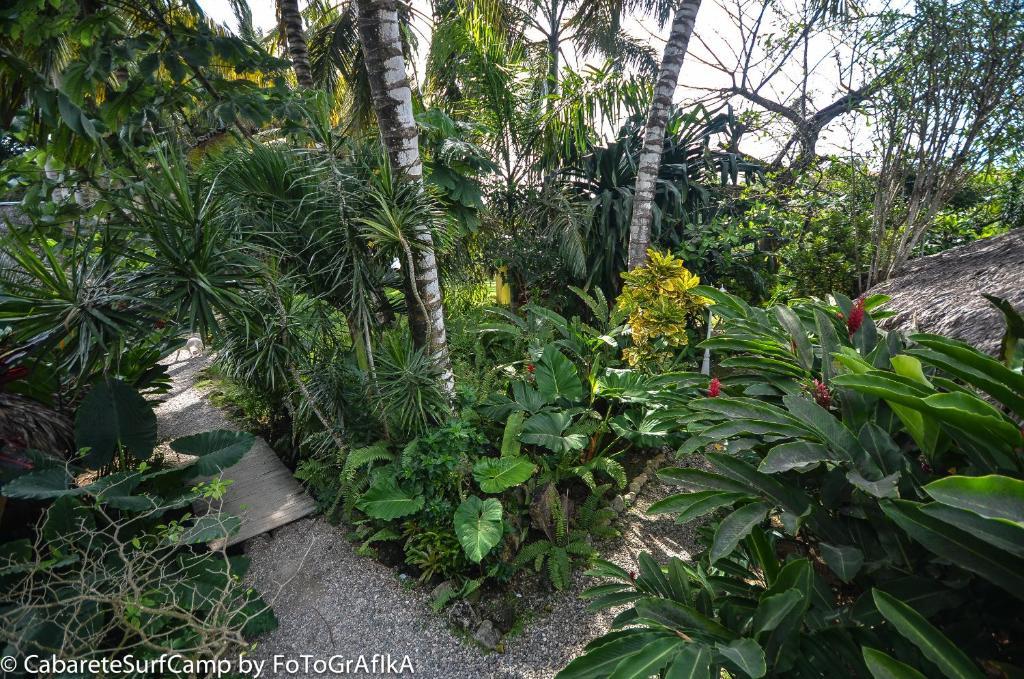 Cabarete Surf Camp Hotel Exterior photo