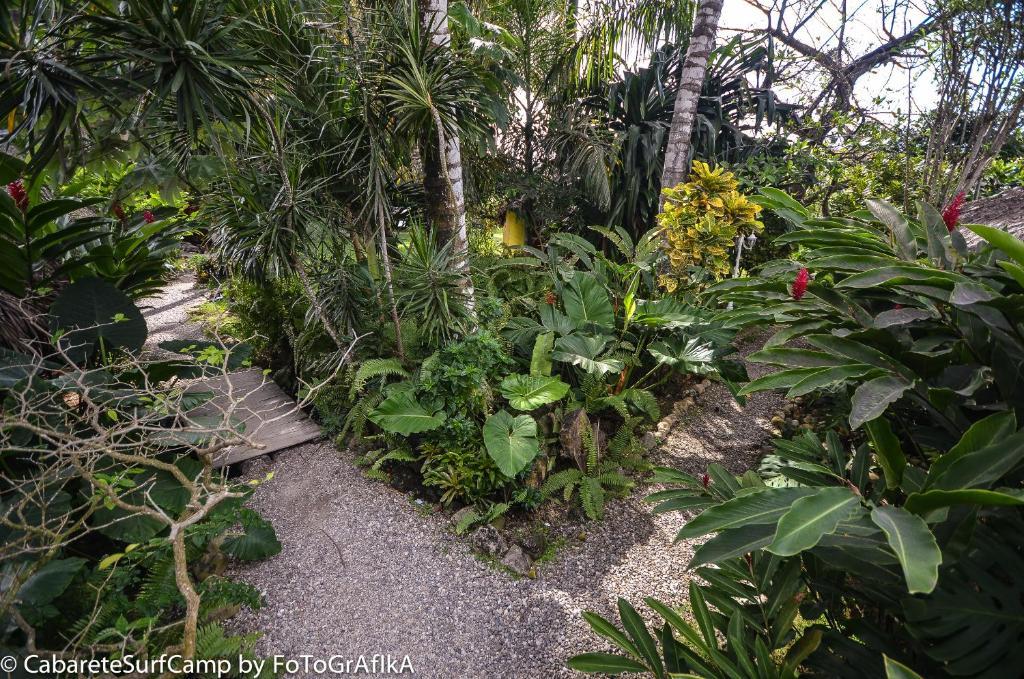Cabarete Surf Camp Hotel Exterior photo