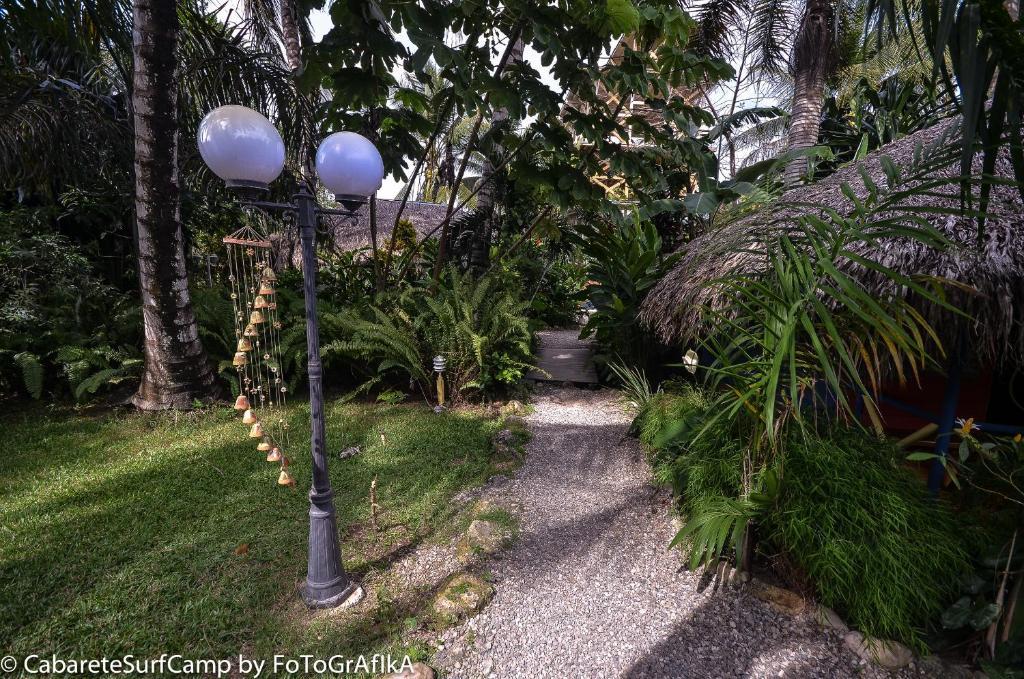 Cabarete Surf Camp Hotel Exterior photo