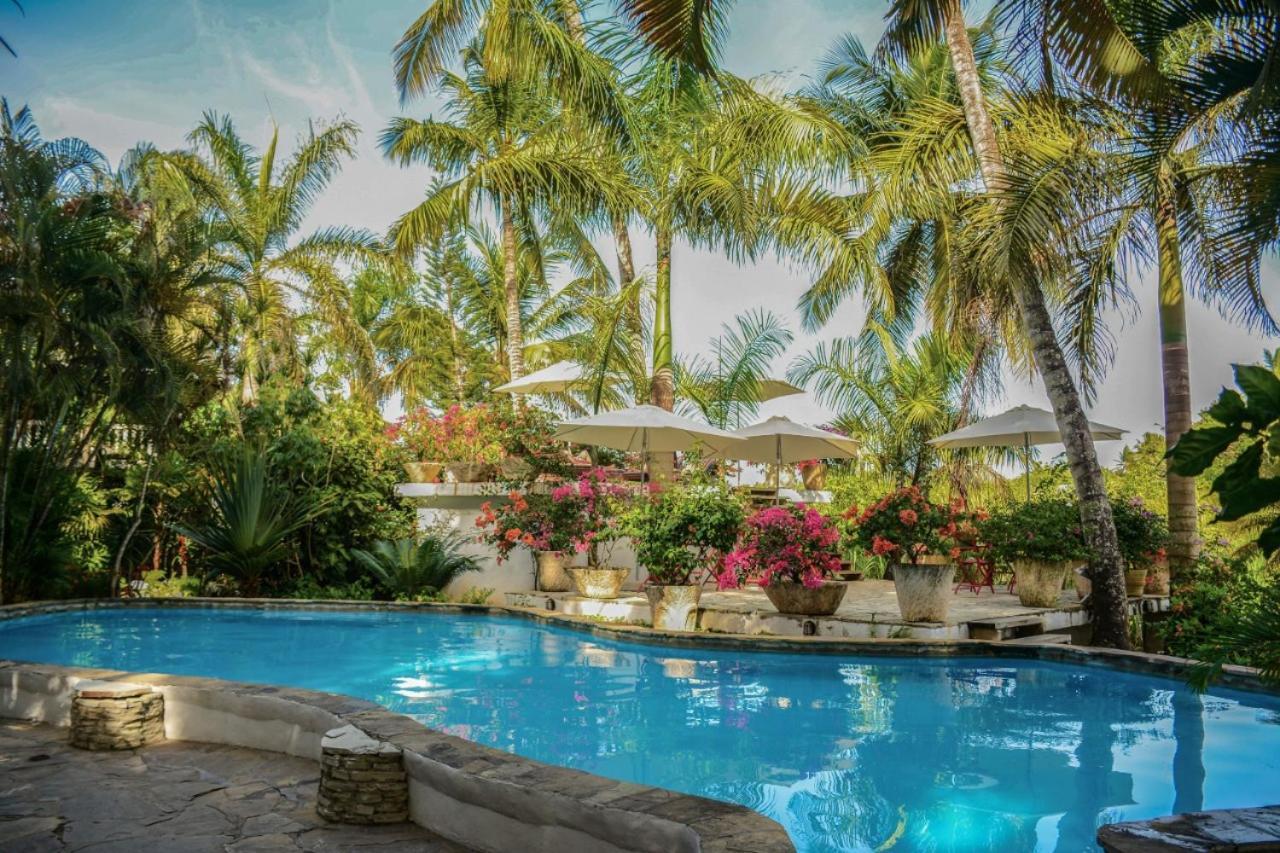 Cabarete Surf Camp Hotel Exterior photo